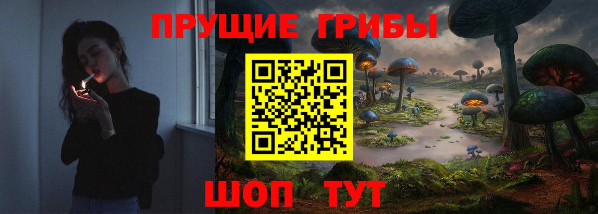 Псилоцибиновые грибы мицелий  Псилоцибиновые грибы прущие грибы  Котельники  Вход с VPN 